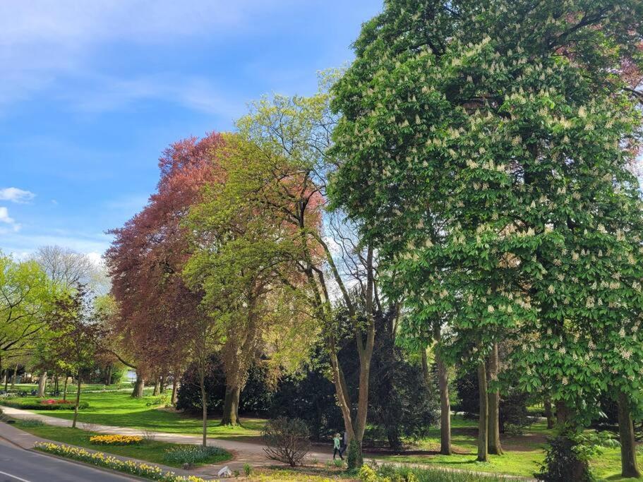 Mit Blick In Den Emsseepark Warendorf Exterior photo
