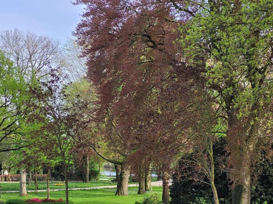 Mit Blick In Den Emsseepark Warendorf Exterior photo